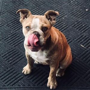 Meet your Posher, Kylie